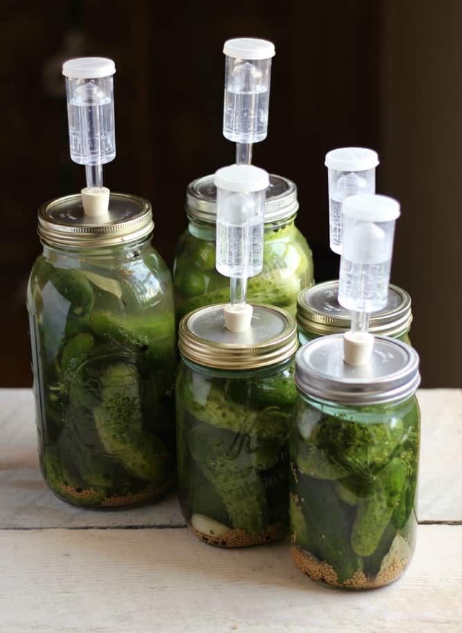 The Art of Fermentation: Homemade Pickles and Probiotics